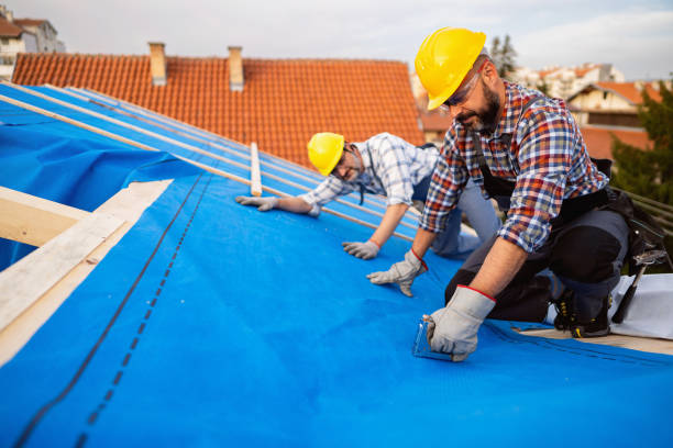 Best New Roof Installation  in Erwin, NC