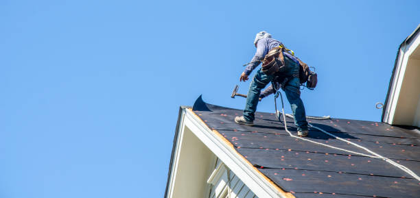 Best Roof Maintenance Services  in Erwin, NC